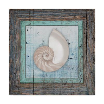 Framed Gypsy Sea Spiral Shell by Lightboxjournal, 18x18-Inch