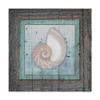 Framed Gypsy Sea Spiral Shell by Lightboxjournal, 18x18-Inch view 1