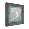 Framed Gypsy Sea Spiral Shell by Lightboxjournal, 18x18-Inch view 2