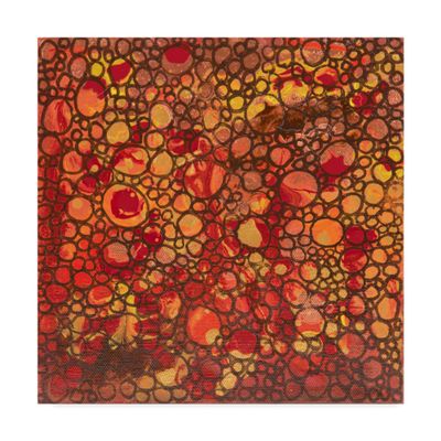 Dimension Orange Red by Hilary Winfield, 18x18-Inch