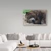 Sleeping Bear by Robert Michaud, 16x24-Inch view 3