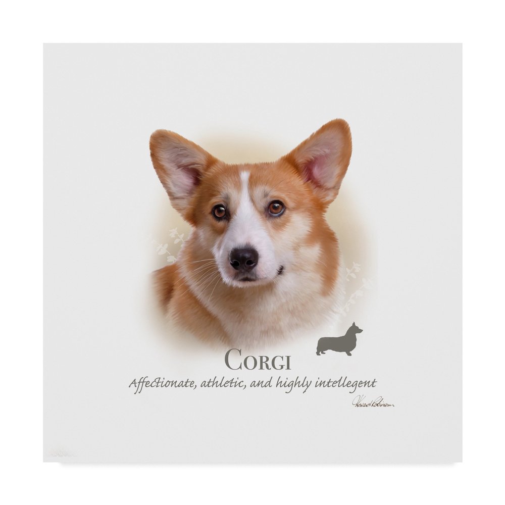 Corgi by Howard Robinson, 18x18-Inch