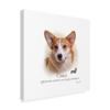 Corgi by Howard Robinson, 18x18-Inch view 2