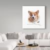 Corgi by Howard Robinson, 18x18-Inch view 3