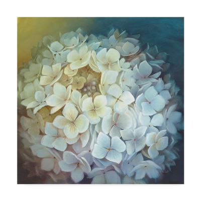 Hydrangea by Lisa Audit, 18x18-Inch