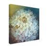 Hydrangea by Lisa Audit, 18x18-Inch view 2