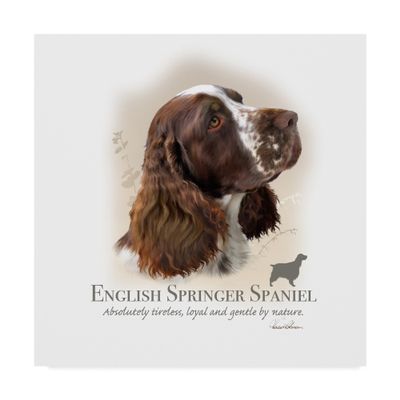 English Springer Spaniel by Howard Robinson, 18x18-Inch