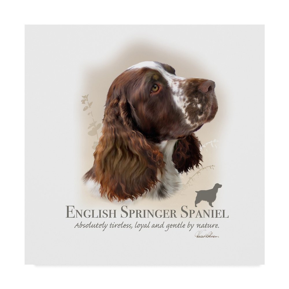 English Springer Spaniel by Howard Robinson, 18x18-Inch