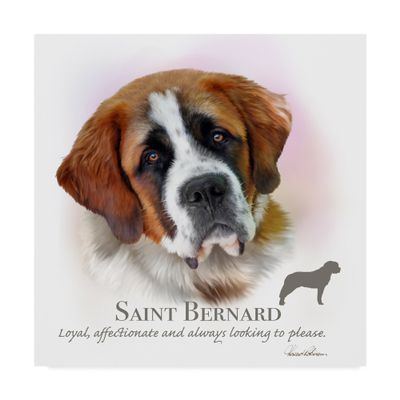 Saint Bernard by Howard Robinson, 18x18-Inch