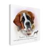 Saint Bernard by Howard Robinson, 18x18-Inch view 2