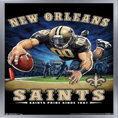 Trends International NFL New Orleans Saints - End Zone 17 Wall Poster, 22.375" x 34", Silver Framed Version