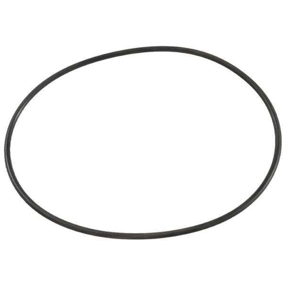 Dayton Pump Casing O-Ring 200800180-1 Each
