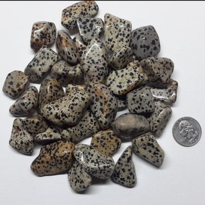 StarStuff.Rocks Natural Authentic Tumbled Stone By The Pound for Crafts, Decoration, Fairy Gardens, & More! (Dalmation Jasper)