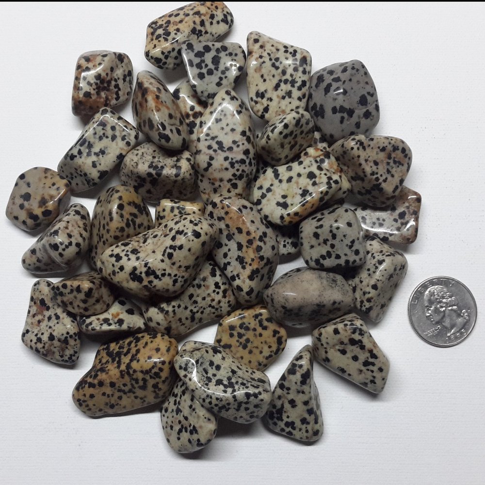 StarStuff.Rocks Natural Authentic Tumbled Stone By The Pound for Crafts, Decoration, Fairy Gardens, & More! (Dalmation Jasper)