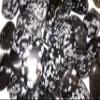 StarStuff.Rocks Natural Authentic Tumbled Stone By The Pound for Crafts, Decoration, Fairy Gardens, & More! (Snowflake Obsidian) view 3