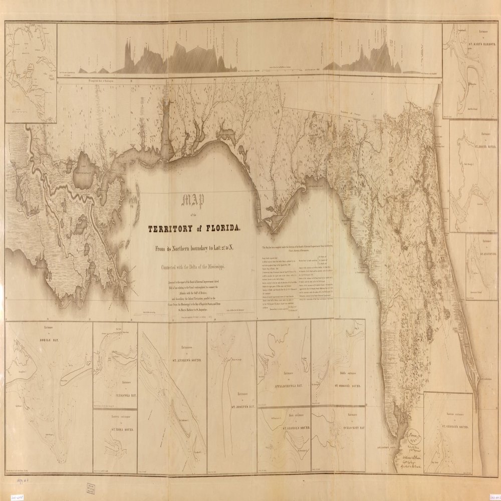 10" x 24" 1829 Map Of Florida Territory Connected To Mississippi Delta Atlantic Gulf Of Mexico & Bay Of Espiritu Santo & From Saint Marys Harbour To Saint Augustine