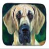 Caroline's Treasures 7444DDM Great Dane Lookin at you Dish Drying Mat Absorbent Dish Drying Mat Pad for Kitchen Counter Dish Drainer Mat for Countertop, 14 x 21", Multicolor view 1