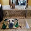 Caroline's Treasures 7444DDM Great Dane Lookin at you Dish Drying Mat Absorbent Dish Drying Mat Pad for Kitchen Counter Dish Drainer Mat for Countertop, 14 x 21", Multicolor view 2