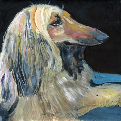 Afghan Hound, Abstract Colorful Noahs Dog Gift, Afghan Hound Mom, Owner, Tazi Dog, Modern Art, Canine Decor, Colorful Painting Portrait by Oscar Jetson