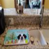 Caroline's Treasures BB1618DDM Christmas Tree and Saint Bernard Dish Drying Mat Absorbent Dish Drying Mat Pad for Kitchen Counter Dish Drainer Mat for Countertop, 14 x 21", Multicolor view 2