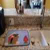 Caroline's Treasures BB2769DDM Dog House Collection Mastiff Brindle Dish Drying Mat Absorbent Dish Drying Mat Pad for Kitchen Counter Dish Drainer Mat for Countertop, 14 x 21", Multicolor view 2