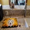 Caroline's Treasures BB1810DDM Halloween Golden Retriever Dish Drying Mat Absorbent Dish Drying Mat Pad for Kitchen Counter Dish Drainer Mat for Countertop, 14 x 21", Multicolor view 2