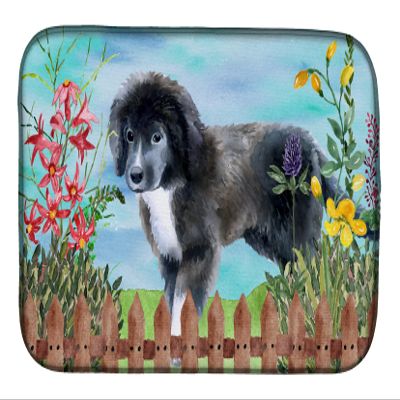 Caroline's Treasures CK1261DDM Newfoundland Puppy Spring Dish Drying Mat Absorbent Dish Drying Mat Pad for Kitchen Counter Dish Drainer Mat for Countertop, 14 x 21", Multicolor