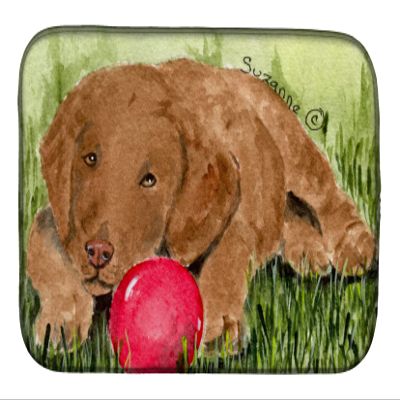 Caroline's Treasures SS8684DDM Curly Coated Retriever Dish Drying Mat Absorbent Dish Drying Mat Pad for Kitchen Counter Dish Drainer Mat for Countertop, 14 x 21", Multicolor