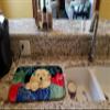 Caroline's Treasures SS8580DDM Golden Retriever Dish Drying Mat Absorbent Dish Drying Mat Pad for Kitchen Counter Dish Drainer Mat for Countertop, 14 x 21", Multicolor view 2