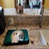 Caroline's Treasures BB2225DDM Halloween Scary Saint Bernard Dish Drying Mat Absorbent Dish Drying Mat Pad for Kitchen Counter Dish Drainer Mat for Countertop, 14 x 21", Multicolor view 2