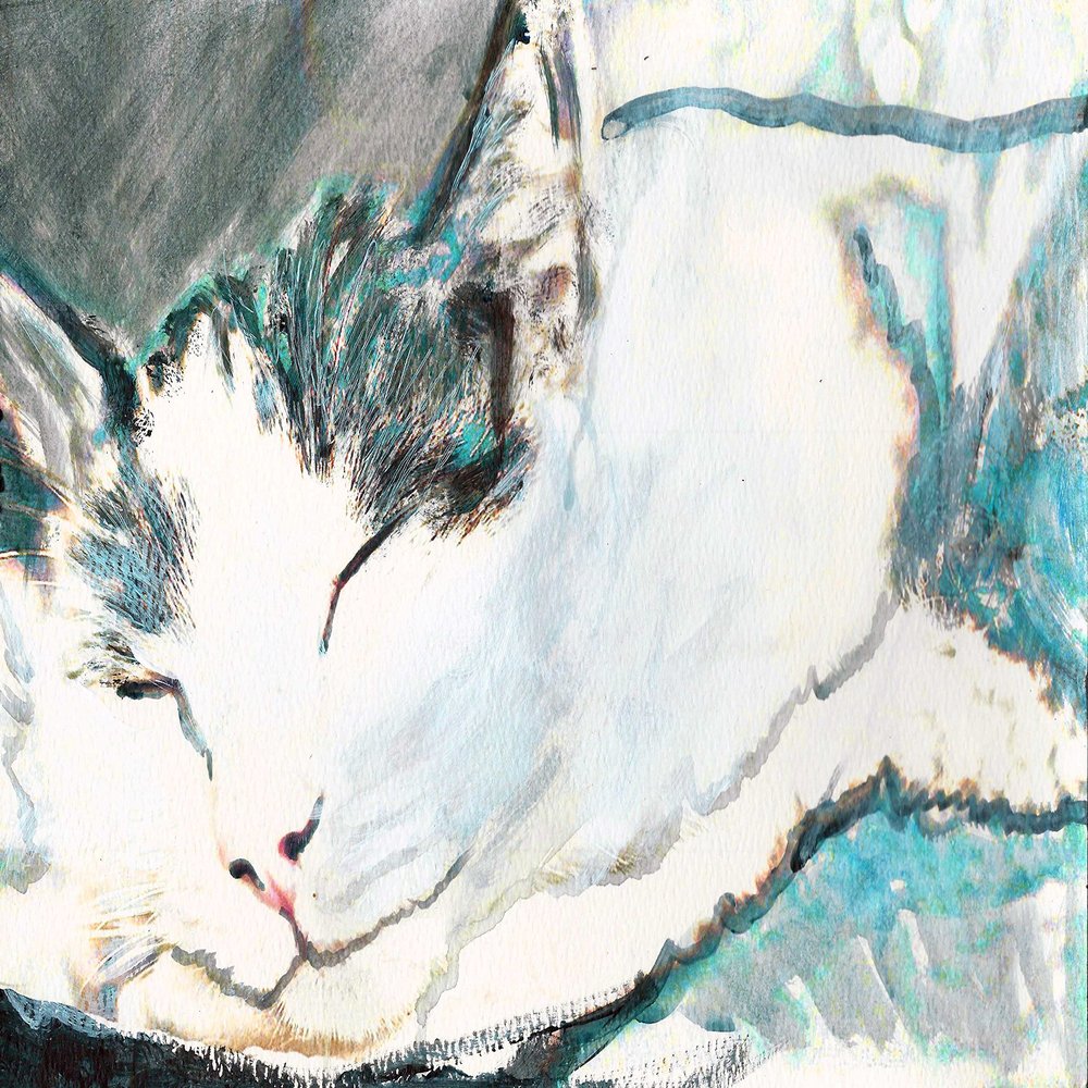 Cat, Colorful Feline Painting Wall, Cute Cat Gift, Mom, Kitten Home Decor, Modern Art Gift, Lover hand signed by Oscar Jetson