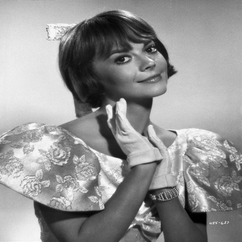 Natalie Wood Posed in Dress Photo Print (8 x 10)