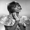 Natalie Wood Posed in Dress Photo Print (8 x 10) view 1