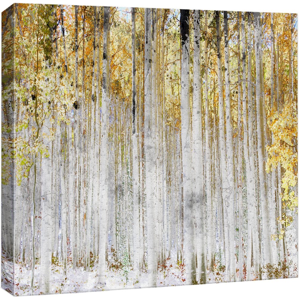 wall26 Canvas Print Wall Art White Birch Tree Forest with Yellow Leaves Nature Wilderness Mixed Media Modern Art Rustic Landscape Relax/Calm Multicolor for Living Room, Bedroom, Office - 24"x36"