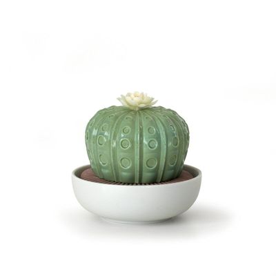 LLADR Astrophytum Cactus Diffuser. Tropical Blossoms Scent. Porcelain Aroma Diffuser.