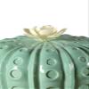 LLADR Astrophytum Cactus Diffuser. Tropical Blossoms Scent. Porcelain Aroma Diffuser. view 2