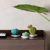 LLADR Astrophytum Cactus Diffuser. Tropical Blossoms Scent. Porcelain Aroma Diffuser. view 3