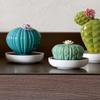 LLADR Astrophytum Cactus Diffuser. Tropical Blossoms Scent. Porcelain Aroma Diffuser. view 4