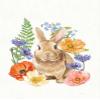Sunny Bunny II FB Poster Print by Mary Urban (22 x 28) view 1