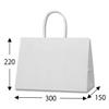 Shimojima Haiko 003272400 Handbags 25CB 30-15 White Plain 11.8 x 8.7 x Depth 5.9 inches (300 x 220 x 150 mm), 50 Sheets view 4