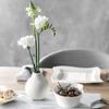 Villeroy & Boch Collier Blanc Small Vase : Perle, 4.25 in, Premium Porcelain, White view 3