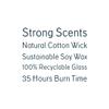 Cozy Glow Rainforest Regular Soy Candle view 3