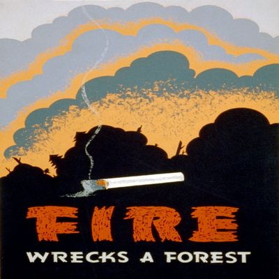 Forest Fire Prevention FAP Poster 1939 Poster Print by Science Source (18 x 24)