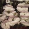 Serviettes Pack of 20 view 1