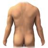 Posterior anatomy of the human male Poster Print by Enid HajderiStocktrek Images (24 x 24) view 1