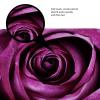 Amagical Beautiful Purple Rose Pattern 2 Piece Bathroom Mat Set Bathroom Mat Contour Mat Non-Slip view 4