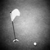 2000s Golf Ball On Putting Green With Flag Marker In Hole From Above Poster Print By Vintage Collection (24 X 24) view 1