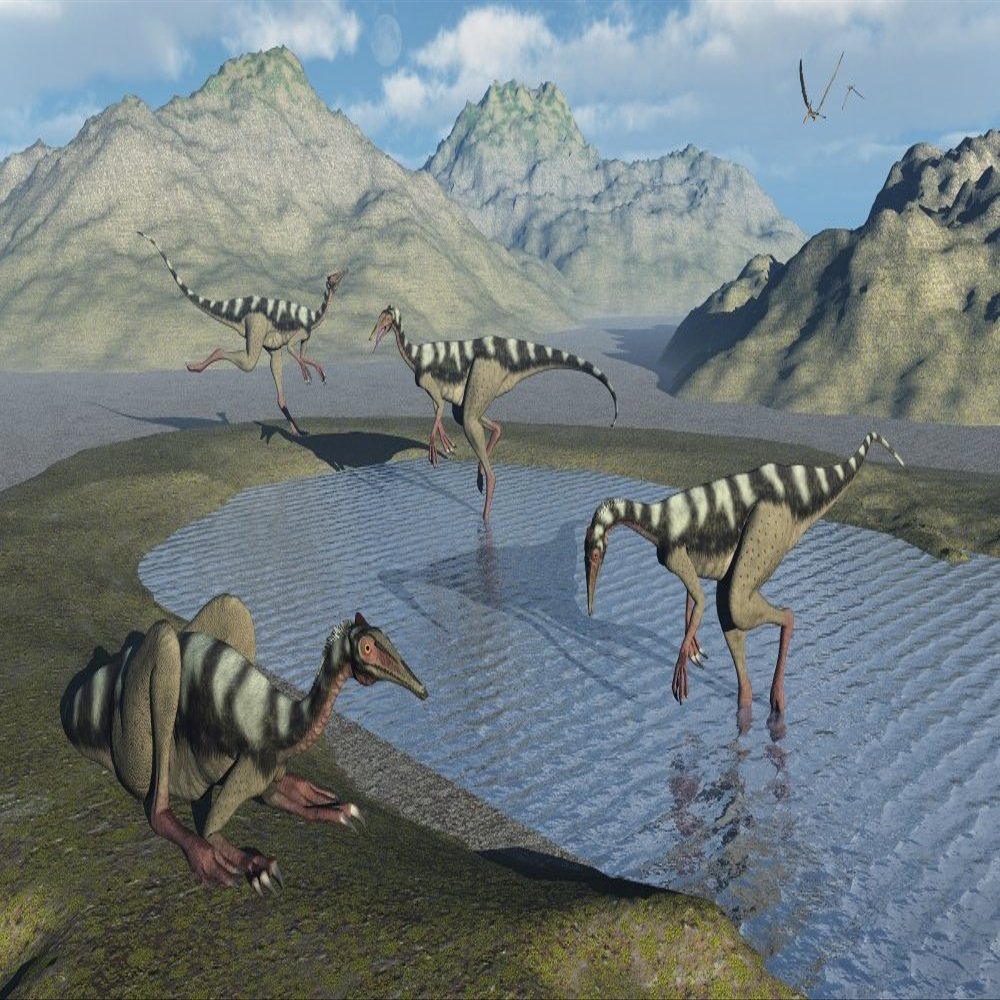 A gathering of Pelecanimimus dinosaurs around a watering place Poster Print by Mark StevensonStocktrek Images (18 x 11)
