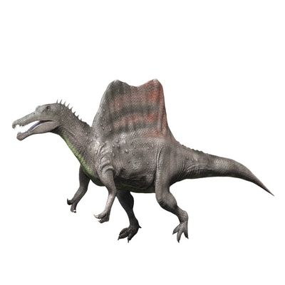 Spinosaurus is a theropod from the Late Cretaceous period Poster Print by Nobumichi TamuraStocktrek Images (32 x 24)