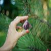Mina Heal Natural Amethyst Pyramid Chakra Healing Crystal Stone, 1.5 inch view 4